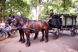 WARP1570.jpg